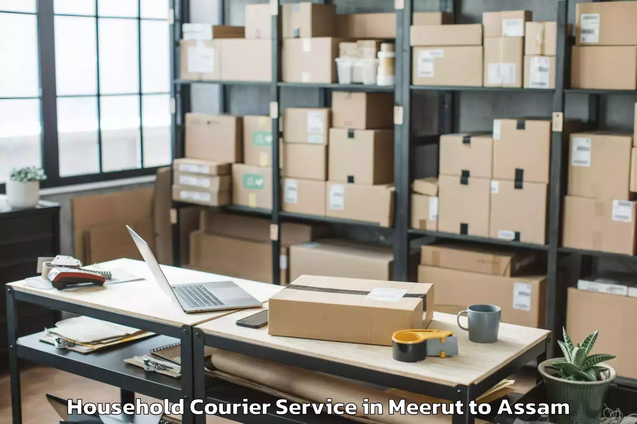 Affordable Meerut to Srimanta Sankaradeva Universit Household Courier